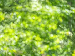 欧冠赛程吃紧，塞维利亚关键时刻止住颓势，气氛紧张，身体对抗强度拉满的简单介绍